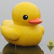 water inflatable duck